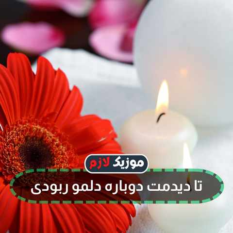 دانلود آهنگ تا دیدمت دوباره دلمو ربودی